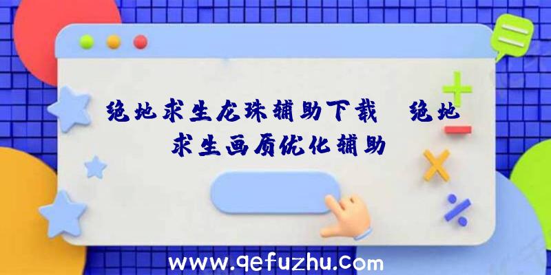「绝地求生龙珠辅助下载」|绝地求生画质优化辅助